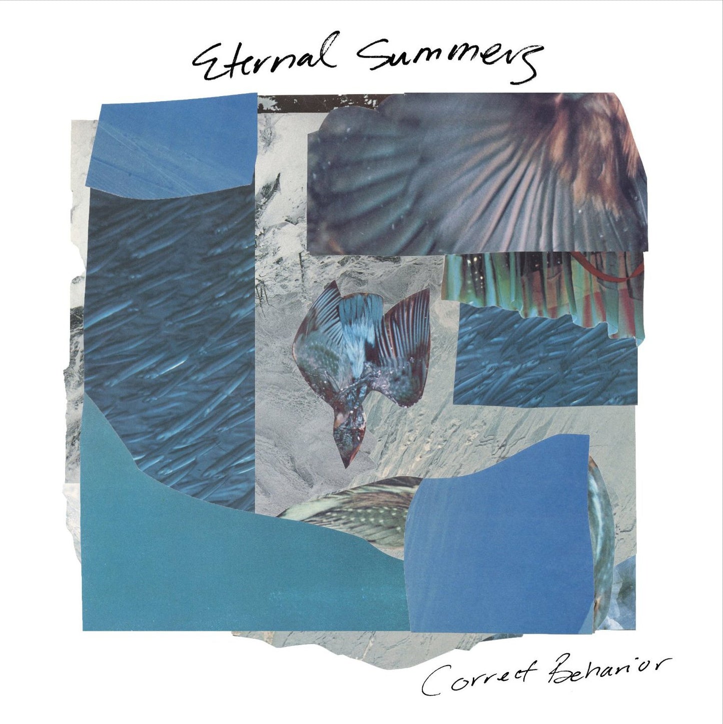 Eternal Summers - Correct Behavior LP
