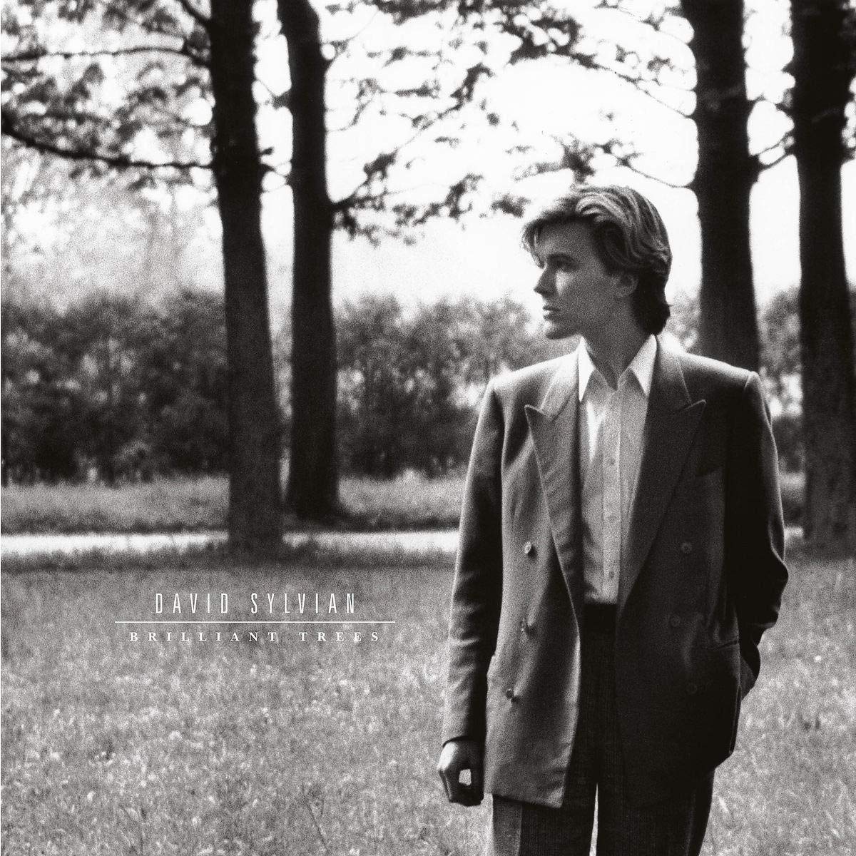 David Sylvian – Brilliant Trees 180g LP