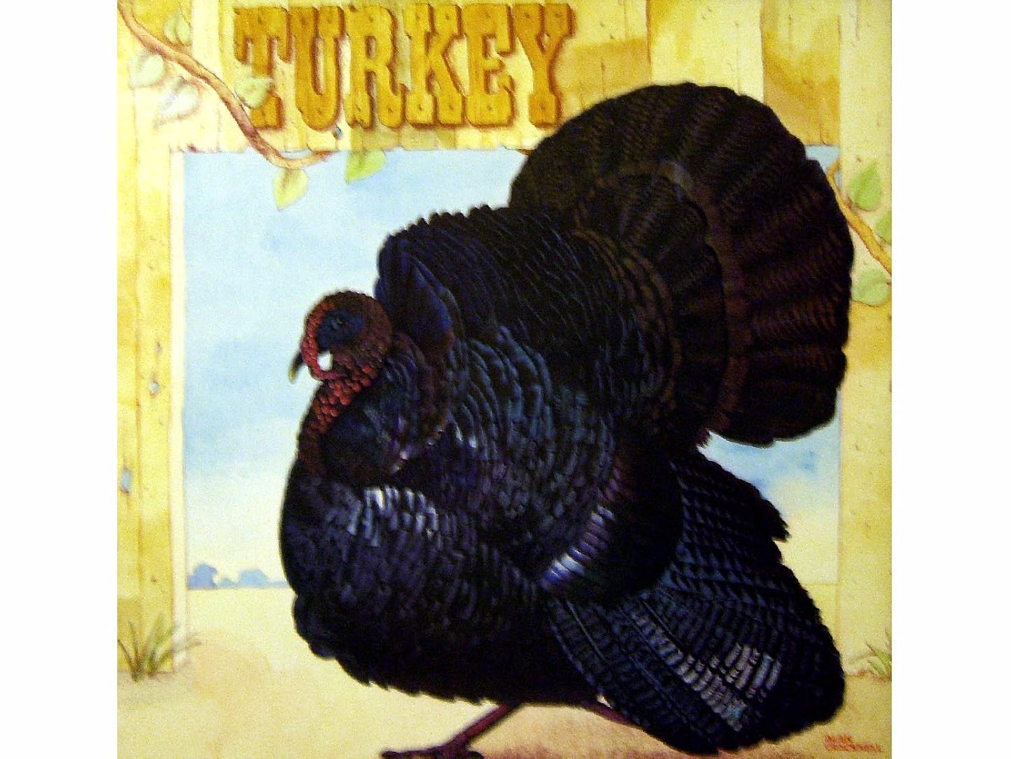 Wild Turkey - Turkey LP