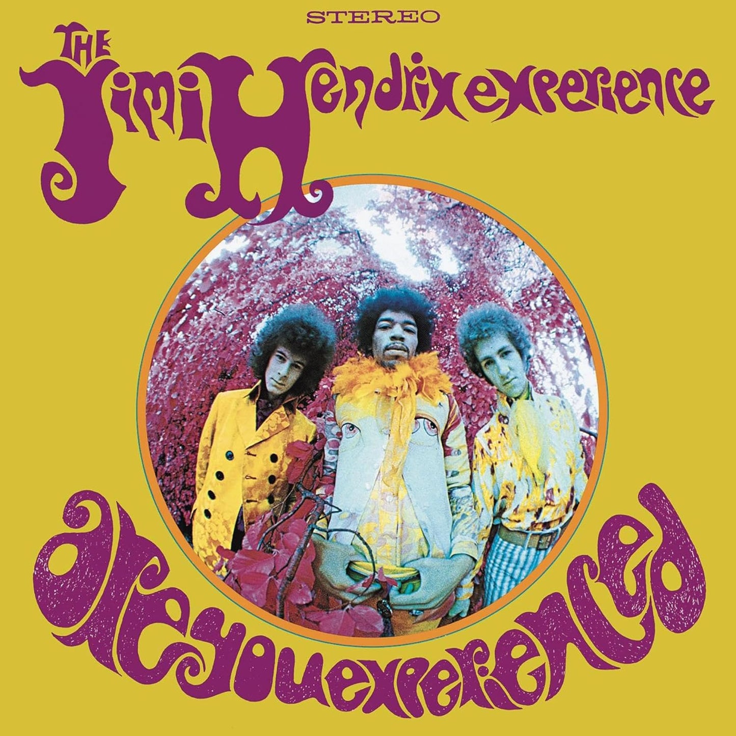 The Jimi Hendrix Experience - Are You Experienced (180g) LP