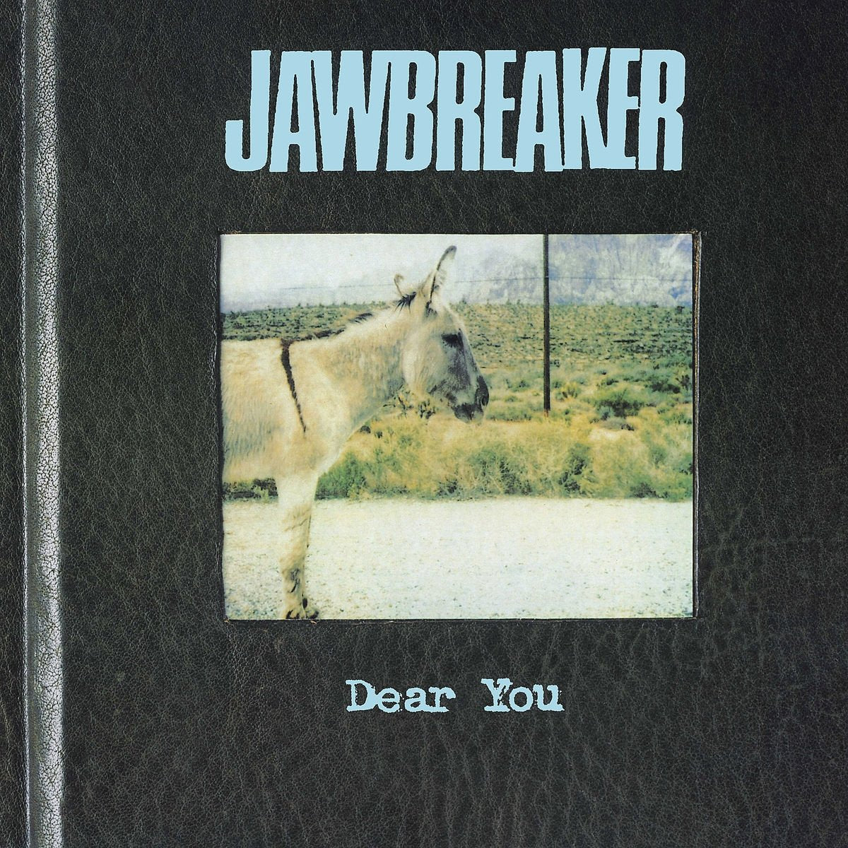 Jawbreaker – Dear You (Blue) LP