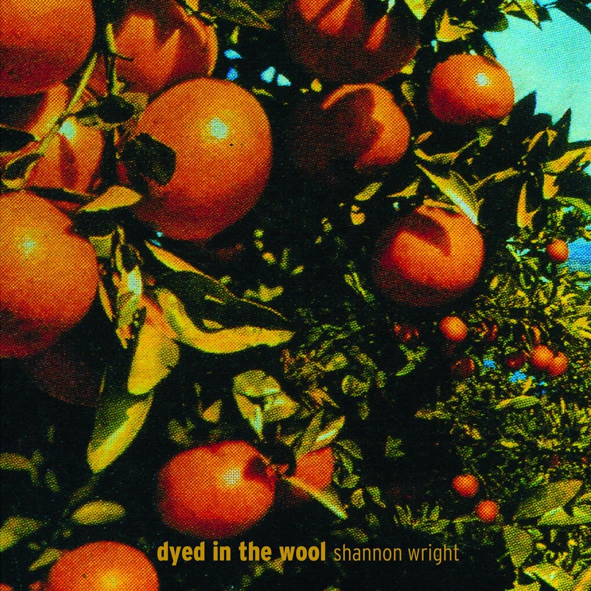 Shannon Wright – Dyed In The Wool (Clear) LP