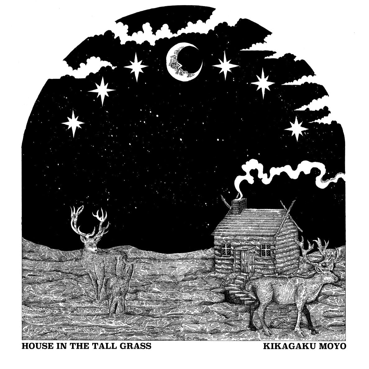 Kikagaku Moyo – House In The Tall Grass LP