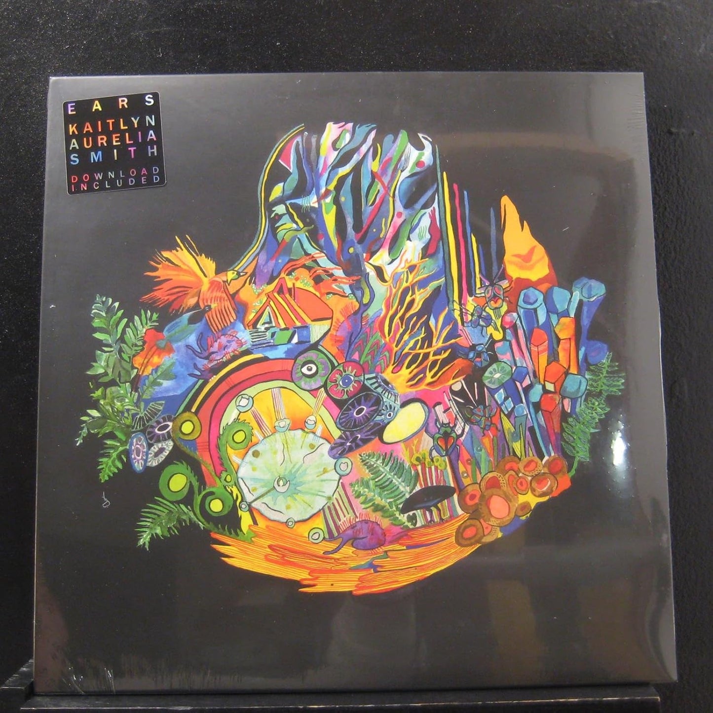 Kaitlyn Aurelia Smith – Ears LP
