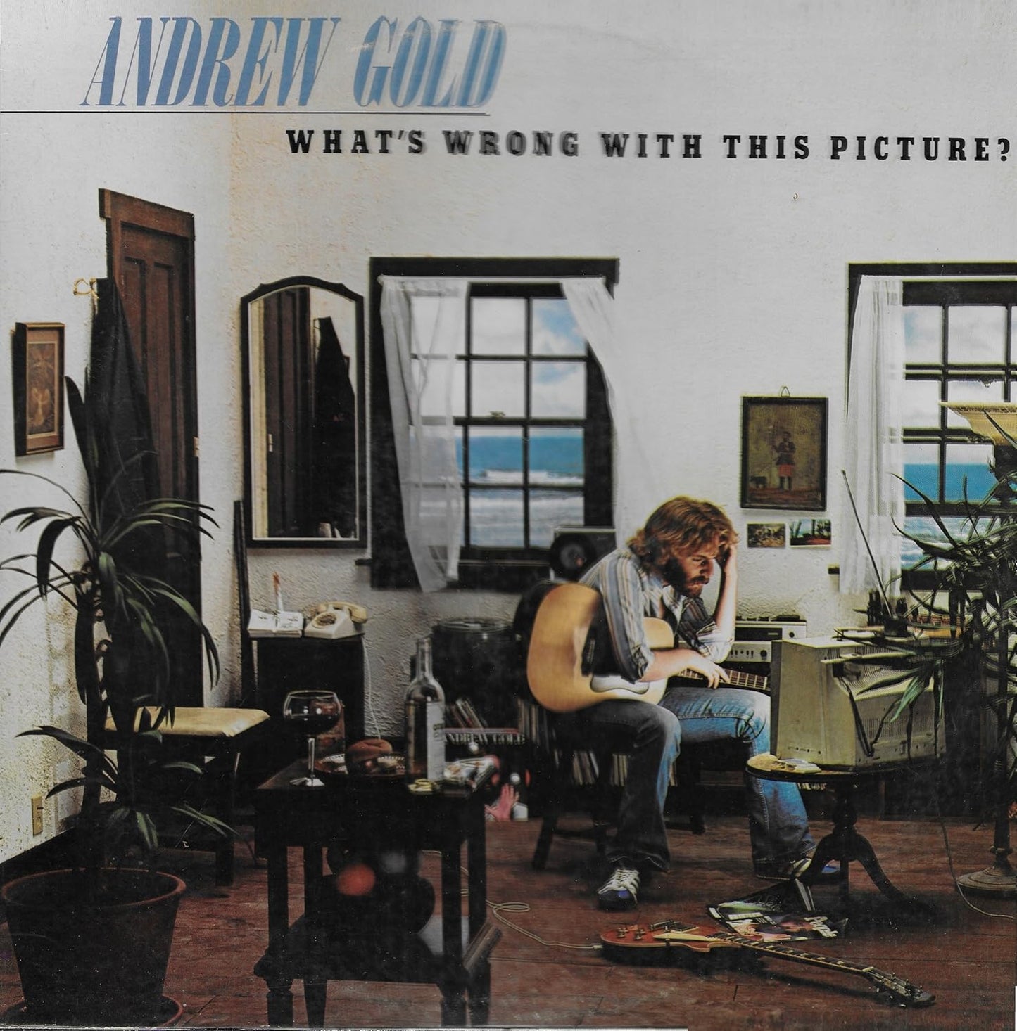 Andrew Gold – What's Wrong With This Picture? LP