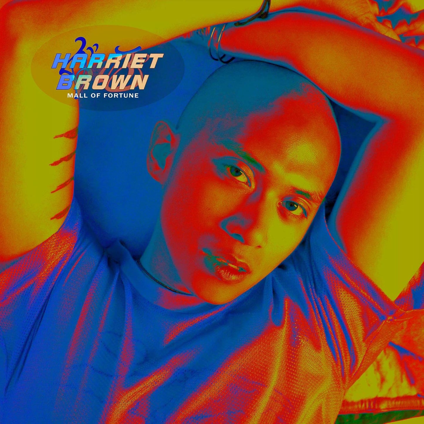 Harriet Brown – Mall of Fortune 2LP