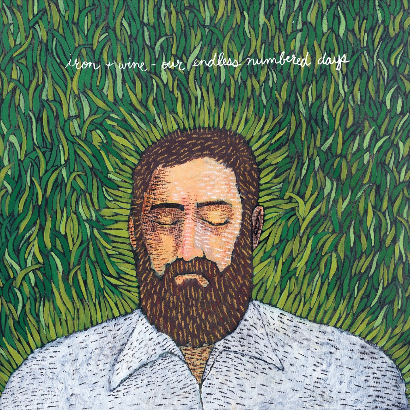 Iron & Wine - Endless Numbered Days LP