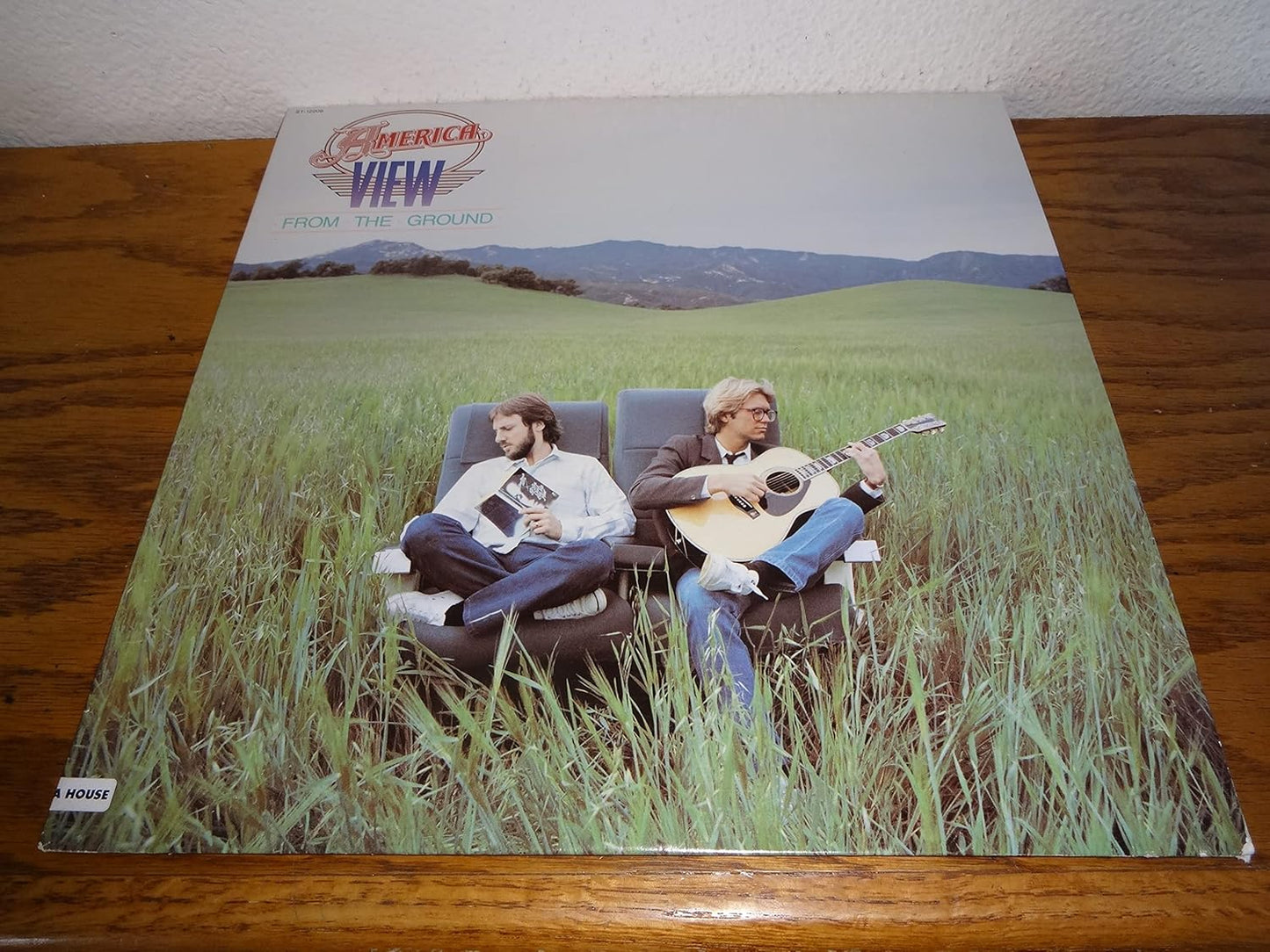 America - View From The Ground LP