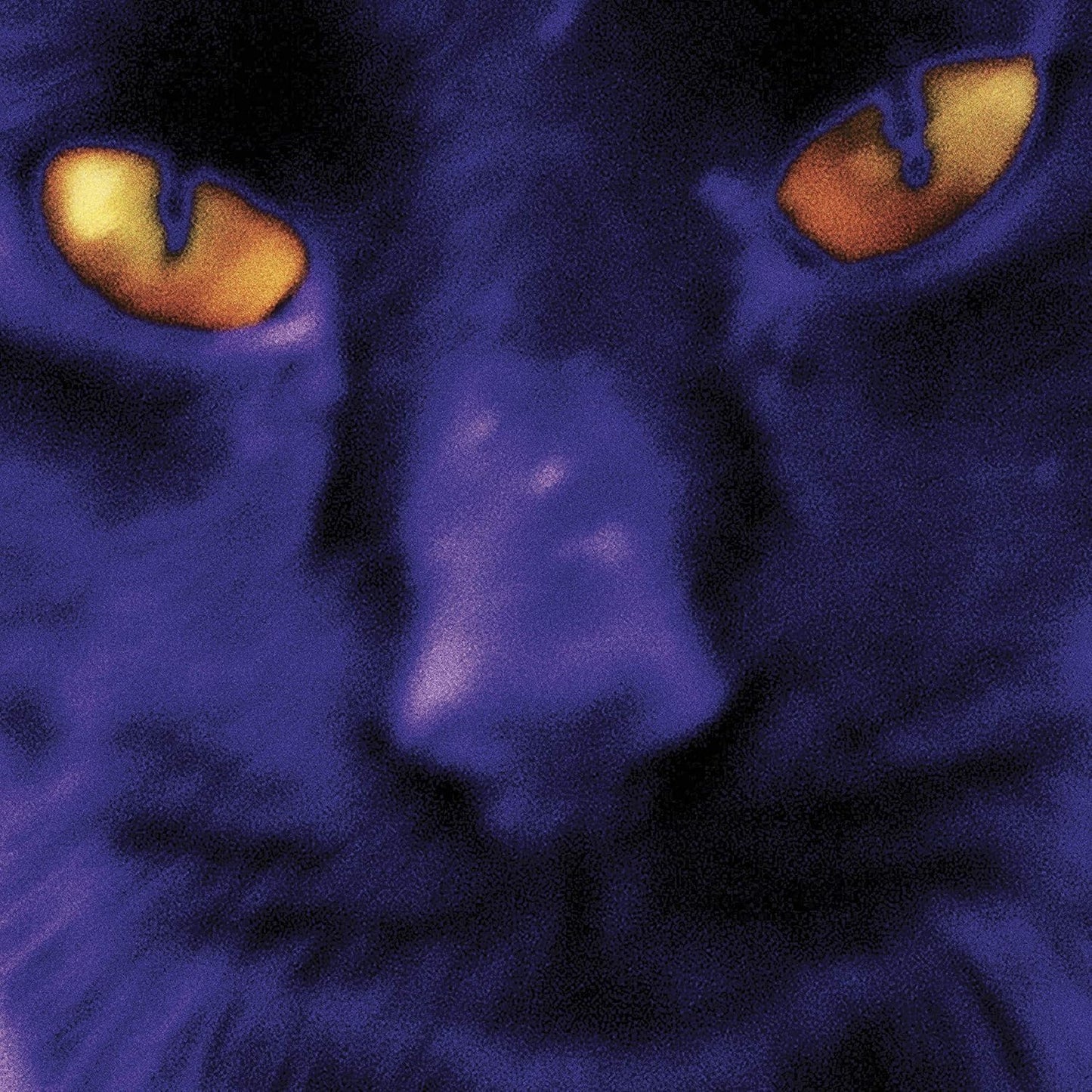 David Kilgour And The Heavy Eights – Bobbie's A Girl (Cat's Eye Swirl) LP