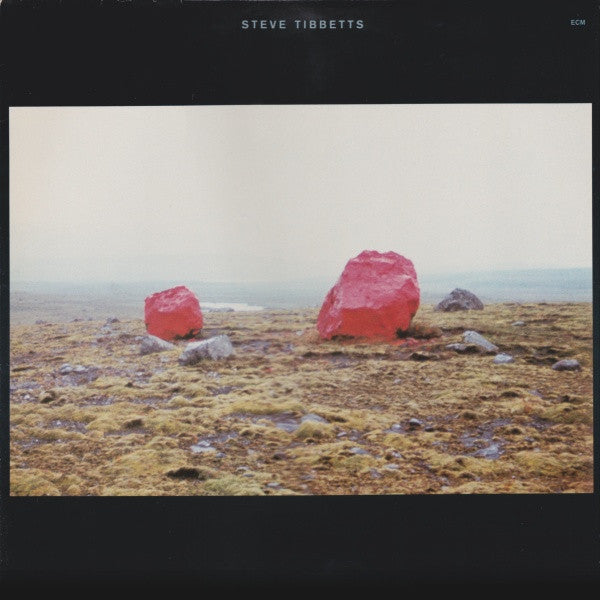 Steve Tibbets - Exploded View LP