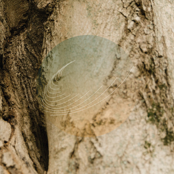 Field Works - Maples, Ash, and Oaks: Cedars Instrumentals (Iridescent Mother of Pearl w/ Green Undertone)