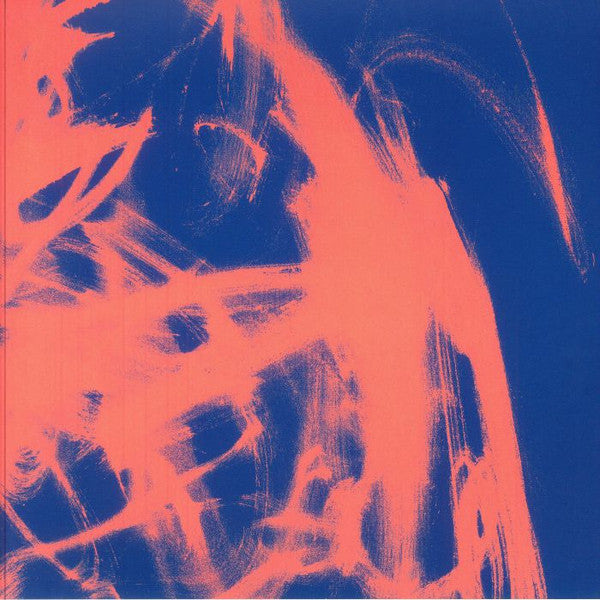 Rival Consoles - Landscape From Memory (Indie Exclusive)