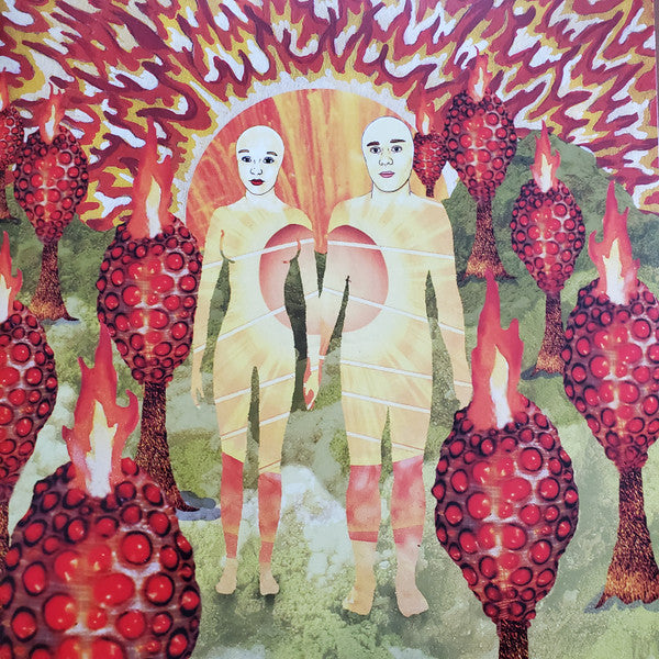 OF MONTREAL - The Sunlandic Twins