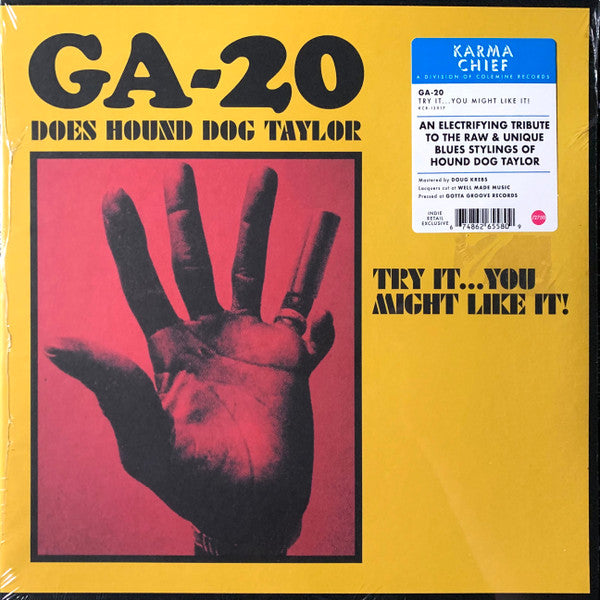 GA-20 - Does Hound Dog Taylor LP