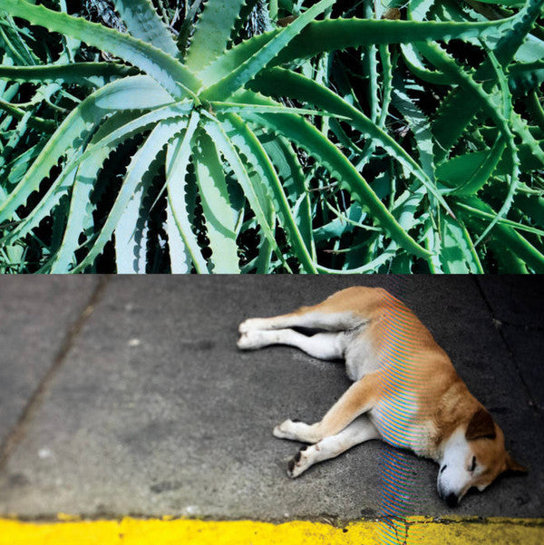 Steve Bates - All The Things That Happen