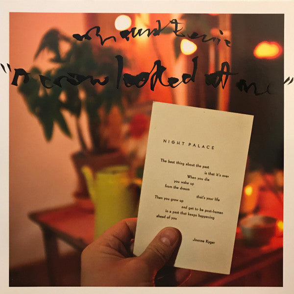 Mount Eerie - A Crow Looked At Me LP