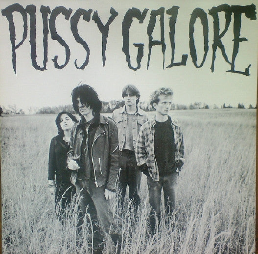 Pussy Galore – Groovy Hate Fuck (Feel Good About Your Body) Unofficial LP