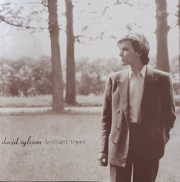 David Sylvian – Brilliant Trees CD