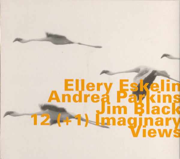 Ellery Eskelin With Andrea Parkins & Jim Black – 12 (+1) Imaginary Views CD