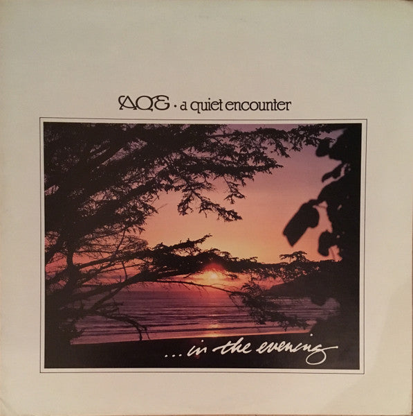 A Quiet Encounter – In The Evening LP