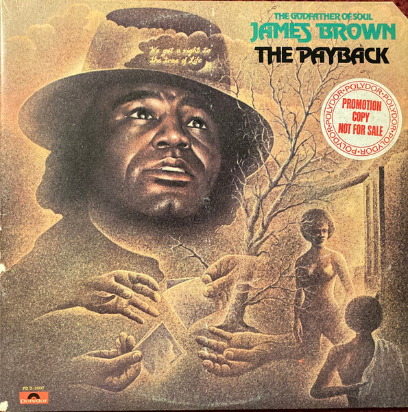 James Brown - The Payback 2LP