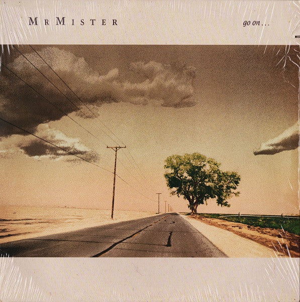 Mr. Mister – Go On... LP