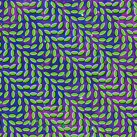 Animal Collective – Merriweather Post Pavilion 2LP