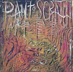 Xiphiidae / Pan To Scratch – Xiphiidae / Pan To Scratch LP