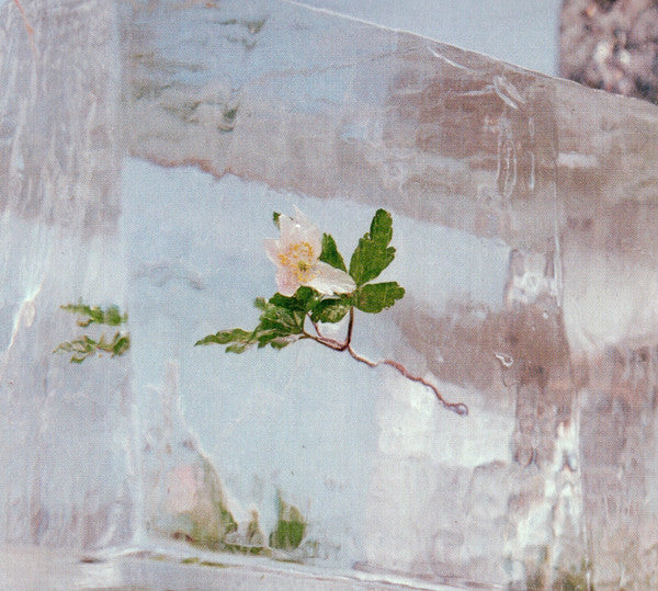 Efterklang – Windflowers