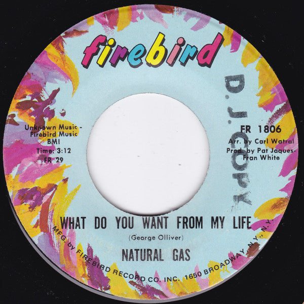 Natural Gas – What Do You Want From My Life / The All Powerful Man 7"