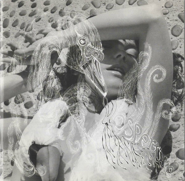 Björk – Vespertine 2LP
