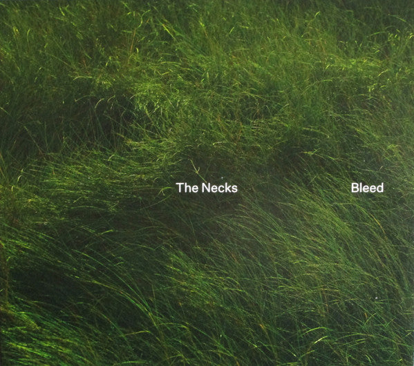 The Necks – Bleed