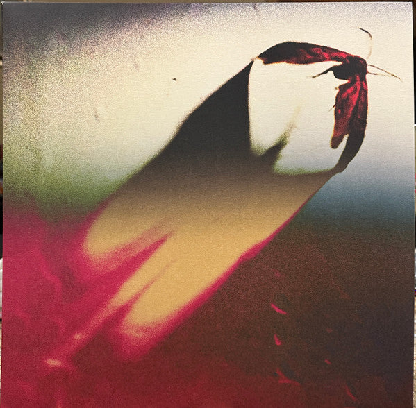 Scowl – Are We All Angels (Clear Pink) LP