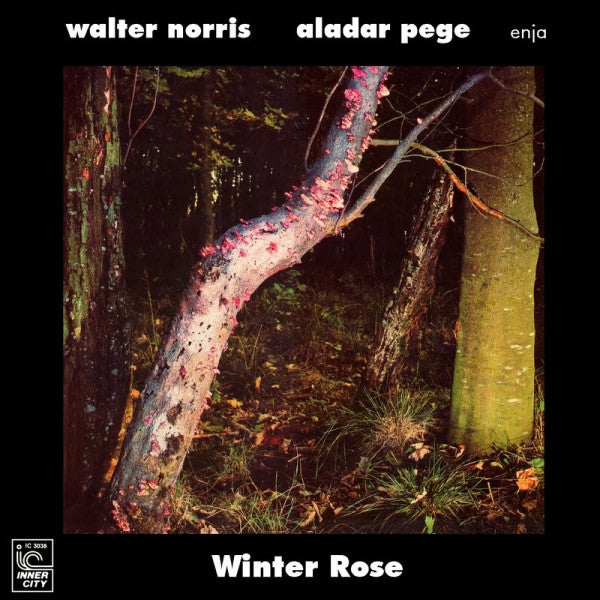Walter Norris / Aladar Pege – Winter Rose LP