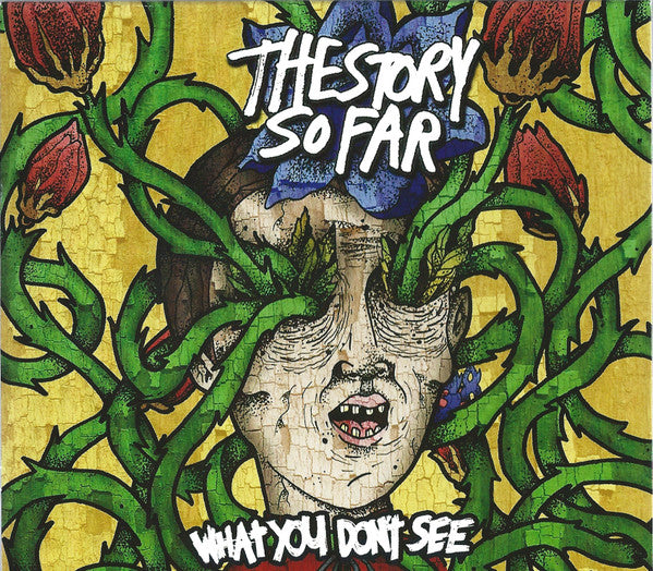 The Story So Far – What You Don't See CD