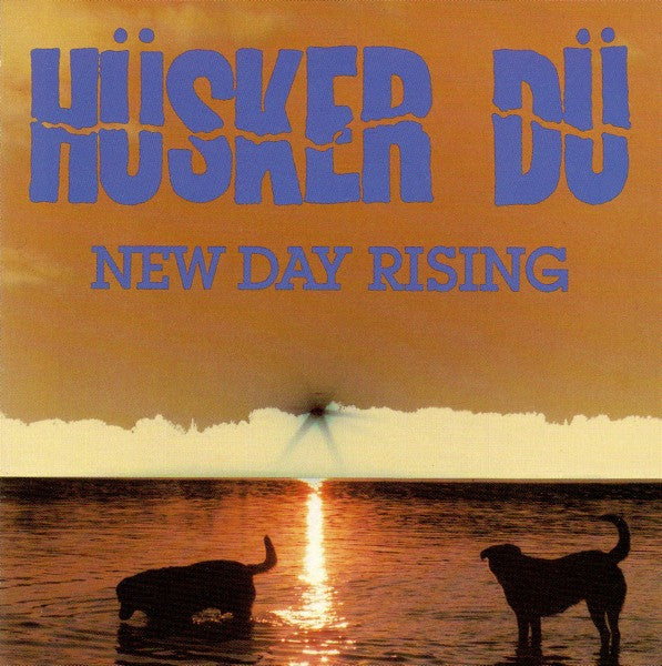 Hüsker Dü – New Day Rising CD