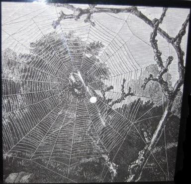 Cassle – Midnight Fantasy 9" Picture Disc