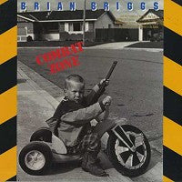 Brian Briggs - Combat Zone LP
