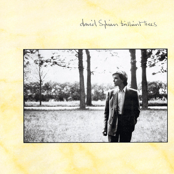 David Sylvian – Brilliant Trees LP