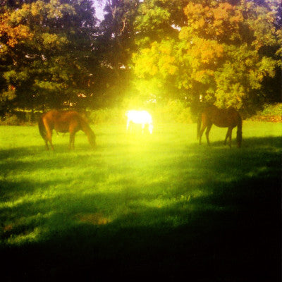 Paul LaBrecque & Valerie Webb – Trees, Chants And Hollers LP