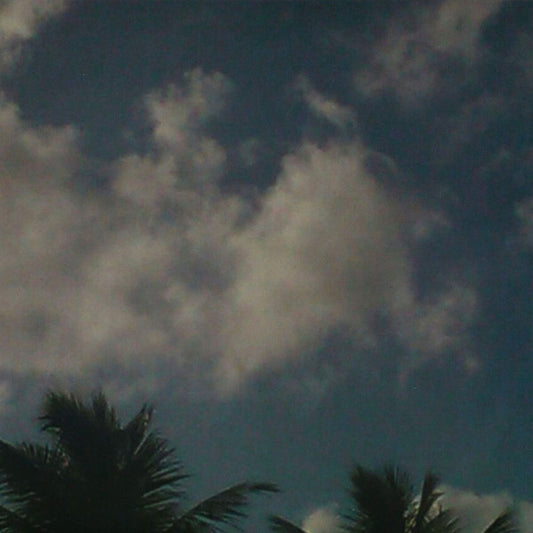 Coastdream - Blue (Blue vinyl) 12"