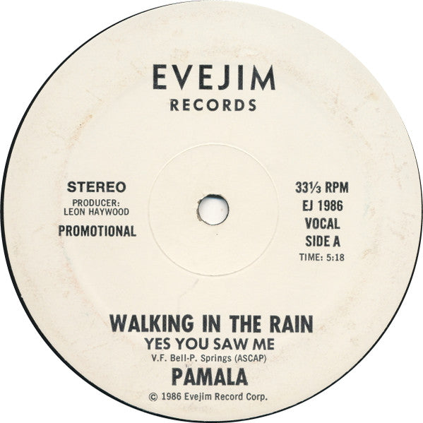 Pamala – Walking In The Rain (Yes You Saw Me) (Promo) 12"