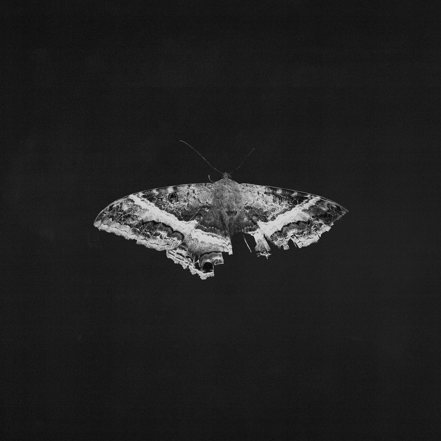 Kendrick Lamar - To Pimp A Butterfly (10 Year Anniversary) - Metallic Blends Color Vinyl