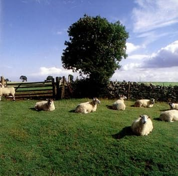 The KLF - Chill Out