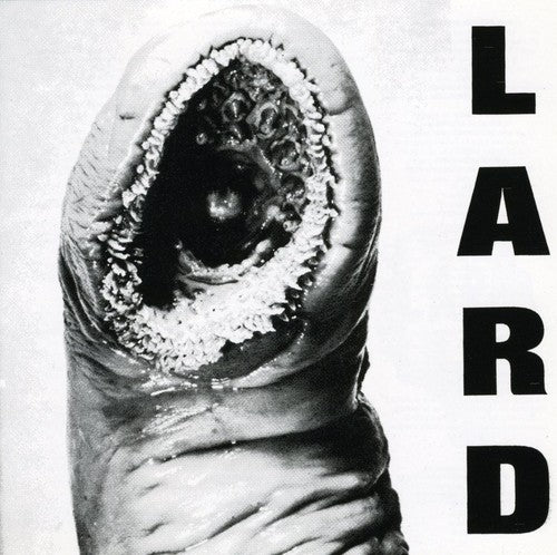 the album cover for Lard - Power of Lard [EP] [EP]
