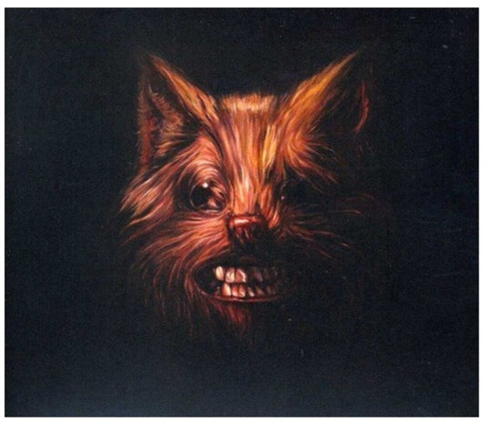 the album cover for Swans - The Seer