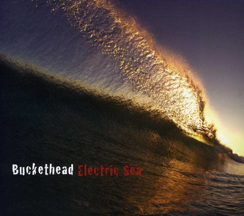 the album cover for Buckethead - Electric Sea