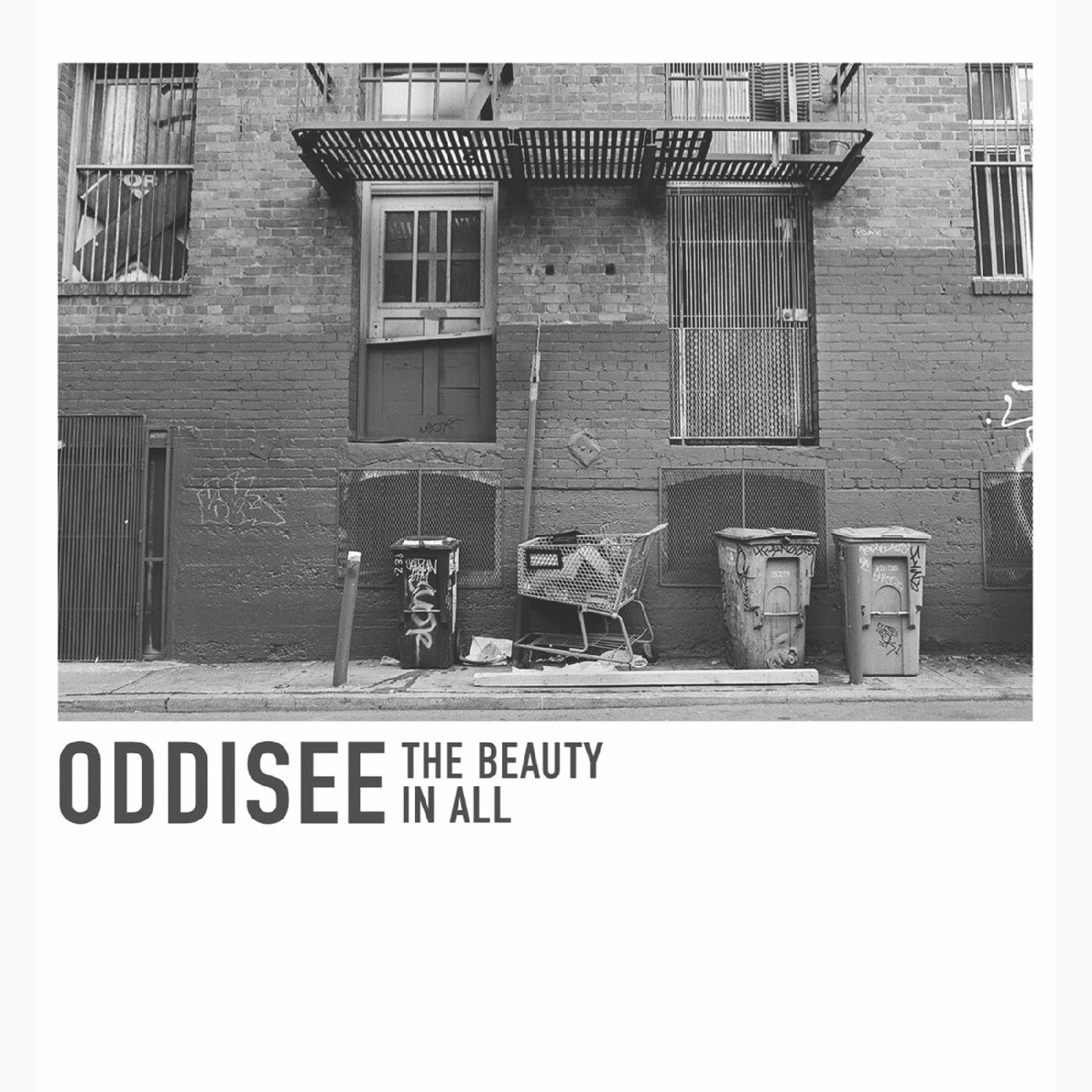 Oddisee - The Beauty In All