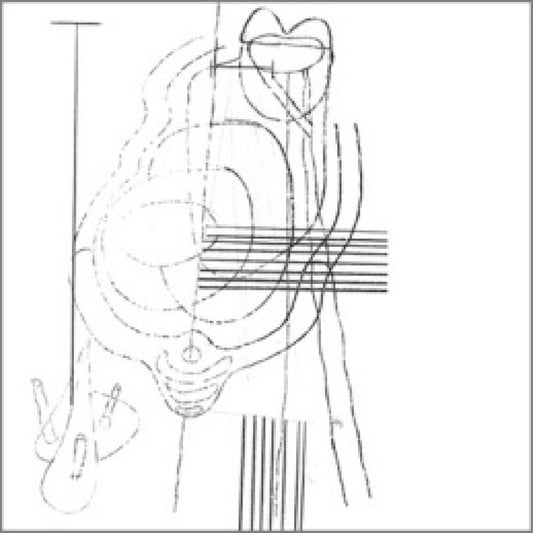 Gastr Del Sol - Camoufleur