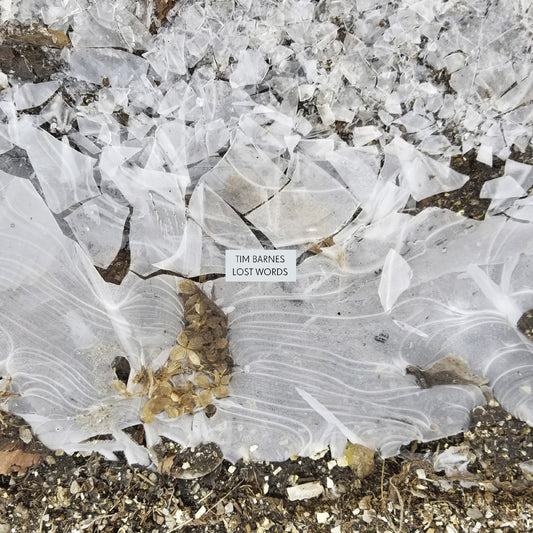 Tim Barnes - Lost Words